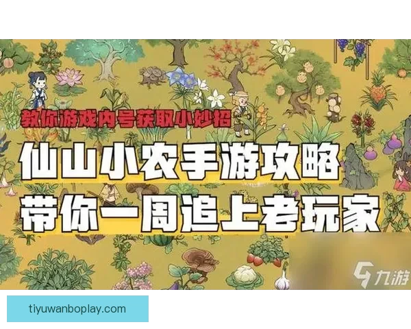 万博体育赔率分析及其对博彩市场趋势的影响探讨